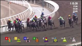 HK Horse Racing at Shatin  Race 5  09112024 prestonepie4395 [upl. by Rollo]