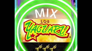 YAGUARU MIX DE CUMBIAS💯 [upl. by Hoffarth]