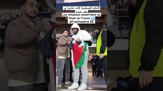 Les drapeaux palestiniens au StadedeFrance FreePalestine متداول الجزائر [upl. by Yellac]