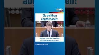 Die gehören abgeschoben afd ltnrw [upl. by Ydnir]