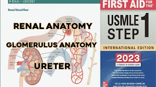 renal anatomy  glomerulus anatomy and ureters  USMLE lecture in Urdu and hindi [upl. by Aria]