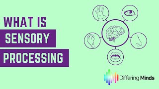 What is Sensory Processing [upl. by Hsemin]