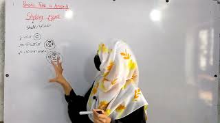 Shielding Effect Class 09 Chemistry In Urdu Hindi  Periodic Table  Chapter No 03  Lecture No 07 [upl. by Pren618]