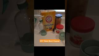 DIY Toilet Bowl Cleaner cecilyonpoint easy to make safe cleaner toiletcleaning diy ecoliving [upl. by Ahtivak77]