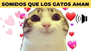 10 SONIDOS QUE LOS GATOS AMAN ESCUCHAR 😻 [upl. by Lydnek]