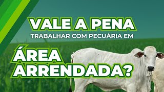 ARRENDAR ou COMPRAR terra Descubra como lucrar com a PECUÁRIA de CORTE em qualquer cenário [upl. by Rokach]