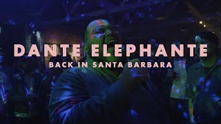 Dante Elephante  quotBack in Santa Barbaraquot LIVE [upl. by Eiznikcm]