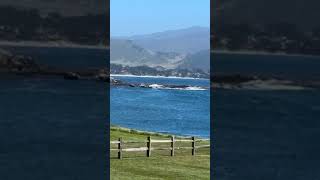 Pebble Beach  USA  California  Beautiful View  Monterey Peninsula [upl. by Aihsekel493]