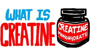 What is Creatine Should You Be Taking This Supplement [upl. by Acinorehs141]