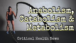 Anabolism Catabolism And Metabolism  Pharmacist Ben Fuchs  Moment of Truth [upl. by Lennor]