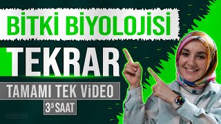 13 Bitki Biyolojisi FULL TEKRAR  12 Sınıf Biyoloji  AYT Biyoloji Konu Anlatımı 13 [upl. by Leirua302]