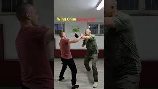 Wing Chun Naumov selfdefense wingchunkungfu wingchun kungfu sports [upl. by Lairbag]