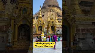 Shwedagon PagodaYangon Myanmar shwedagonpagoda yangon myanmar shorts buddha fypシ゚viral fyp [upl. by Orva]