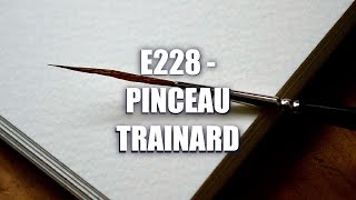 E228  Pinceau Trainard [upl. by Fogel]