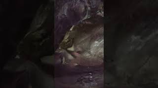 HEAVEN EXPEDITION explore cave 3d amazing life best shorts adventure [upl. by Hughett]