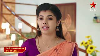 Paluke Bangaramayena  Promo  13th Nov 2024  Star Maa Serials  MonSat at 130 pm  Star Maa [upl. by Liamsi]