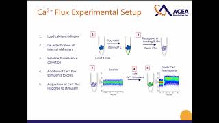 Live Technical Webinar Measuring Calcium Flux by Flow Cytometry [upl. by Freemon]