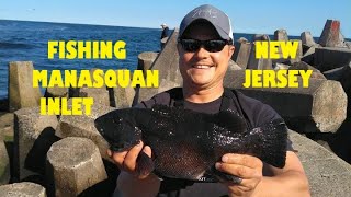 Fishing the Manasquan Inlet New Jersey for BLACKFISH [upl. by Wisnicki906]