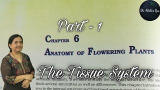 Anatomy of flowering plants  Part 1  Class 11 Biology  NCERT NEET [upl. by Egiap]