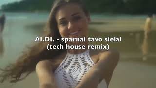 Sparnai tavo sielai  Aidas Pech amp AIDI summer remix [upl. by Ahsilyt321]