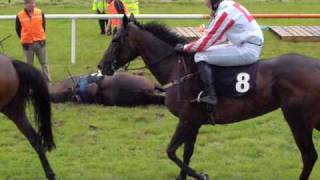 A Horse Falls at the Sligo Races County Sligo Ireland [upl. by Wernsman]