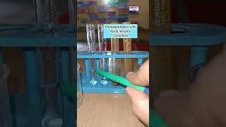 Phenolphthalein and Turmeric as Acid Base Indicator shorts anjusscience [upl. by Ayahc]