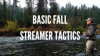 Basic Streamer Fly Fishing Tactics for Trout in the Fall [upl. by Cynde]