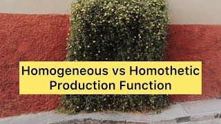 Homogeneous vs Homothetic Production Function [upl. by Eecal776]