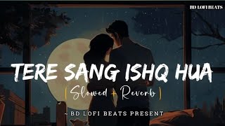 Tere Sang Ishq Hua Slowed  Reverb  Arijit Singh Neeti Mohan  Yodha  BD Lofi Beats [upl. by Pederson]