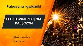 🕸 🕷JAK FOTOGRAFOWAĆ PAJĘCZYNĘ Fotografia zbliżeniowa  pajęczyna i gwiazdki słoneczne [upl. by Pardo]