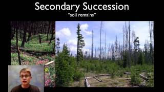 Ecological Succession [upl. by Balduin]