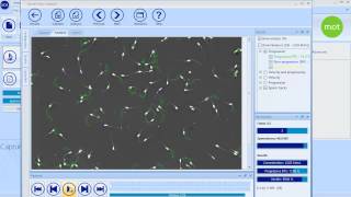 SCA Motility and concentration  CASA System SCA Evolution Veterinary Edition [upl. by Modeste884]