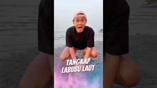 Tangkap Labubu Laut 🏝️ [upl. by Kcirad717]