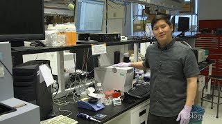 Next Generation Sequencing 4 Checking Nucleic Acids with an Agilent BioAnalyzer  Eric Chow UCSF [upl. by Jeannie]