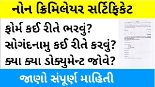 Non Creamy Layer Certificate Gujarat  Non Creamy Form Kevi Rite Bharvu  નોન ક્રિમીનલ સર્ટિફિકેટ [upl. by Enineg718]