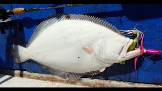 Early Season Summer Flounder Fluke Fishing [upl. by Eachern290]