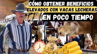 Cómo Obtener Beneficios Elevados con Vacas Lecheras en Poco Tiempo [upl. by Swirsky781]