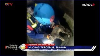 Selamatkan Kucing di Bojonegoro Petugas Damkar Masuk ke Dalam Sumur 20 Meter  BIP 0807 [upl. by Sherurd847]