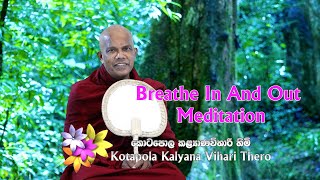 Breathe In And Out Meditation l Kotapola Kalyana Vihari Thero [upl. by Ylram]