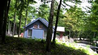 Long Lake NY Beautiful Adirondack Vacation HomeCabin FOR SALE [upl. by Yenffad]