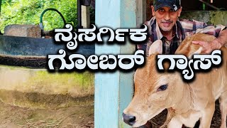 How Does Biogas Plant Work  Gobar Gas Is The Safest And The Best Renewable Energy  Kannada Vlogs [upl. by Kessiah423]