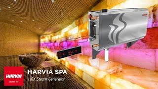 HOW TO  First Start of HGX Steam Generator [upl. by Ohnuj88]