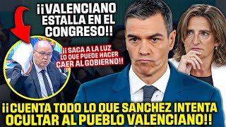 Un Diputado VALENCIANO ¡DEJA EN SHOCK AL CONGRESO😱¡REVELA LO QUE CALLA SÁNCHEZ y RIBERA de la DANA [upl. by Larrej]