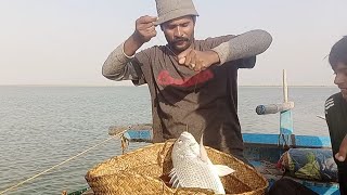 mangrove fishing part 2  Karachi Pakistan hand line fishing Shakeelfishingfun [upl. by Britte]