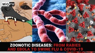 Zoonotic diseases From Rabies and Ebola to Swine Flu amp Covid19 [upl. by Atinniuq]