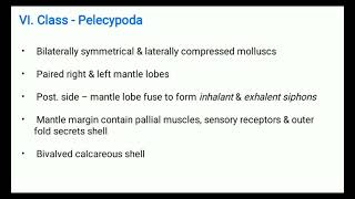 Class  Pelecypoda [upl. by Dominique]