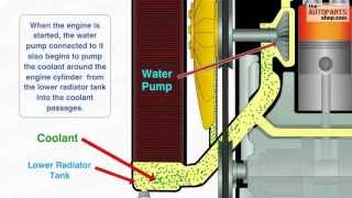 How Car Cooling System Works [upl. by Rodrique199]