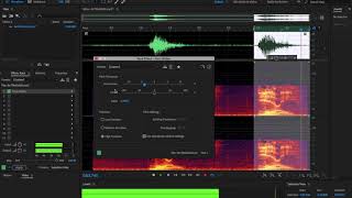 Yanny vs Laurel  Across a Pitch Spectrum [upl. by Ahsaetal]