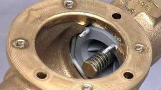 Flomatic DCVE 34quot  2quot Backflow Repair Video [upl. by Esiouqrut]