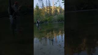 FLY FISHING TUESDAY Beautiful Northern California Fly Fishing shorts fishing flyfishing [upl. by Charmain]